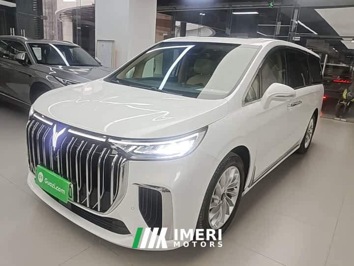 Voyah Lantu Dreamchaser Low Carbon Edition Family