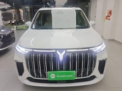 Voyah Lantu Dreamchaser 2022 Low Carbon Edition Family - ფოტო 3
