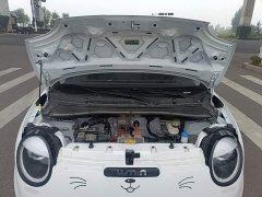 Changan Lumin 205km Xiangqin Edition - ფოტო 20
