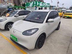 Wuling Binguo 2024 333km Joy Edition - ფოტო 1