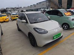 Wuling Binguo 2024 333km Joy Edition - ფოტო 4