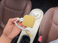 Wuling Binguo 2024 333km Joy Edition - ფოტო 9