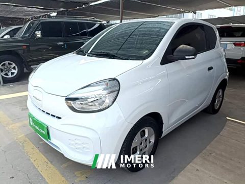 2021 SAIC Corey Wei CLEVER 302km Excellence Edition - ავტომობილი ჩინეთიდან