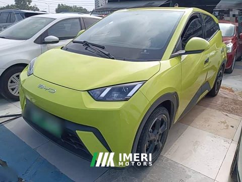 2024 BYD Seagull 2023 Freedom Edition - ავტომობილი ჩინეთიდან