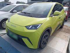 BYD Seagull 2023 Freedom Edition - ფოტო 2