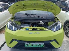 BYD Seagull 2023 Freedom Edition - ფოტო 20