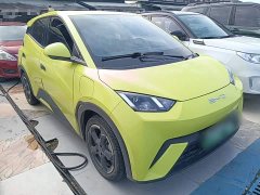 BYD Seagull 2023 Freedom Edition - ფოტო 4