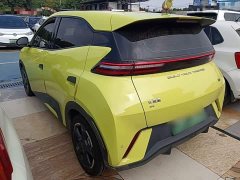 BYD Seagull 2023 Freedom Edition - ფოტო 5