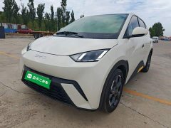 BYD Seagull 2025 305km Freedom Edition - ფოტო 1