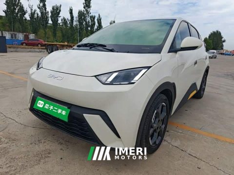 2024 BYD Seagull 2025 305km Freedom Edition - ავტომობილი ჩინეთიდან