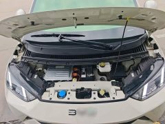BYD Seagull 2025 305km Freedom Edition - ფოტო 20