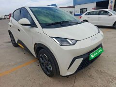 BYD Seagull 2025 305km Freedom Edition - ფოტო 4