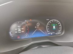 Toyota RAV4 2.0L CVT FWD 20th Anniversary Platinum Edition - ფოტო 12