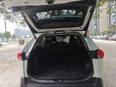 Toyota RAV4 2.0L CVT FWD 20th Anniversary Platinum Edition - ფოტო 19