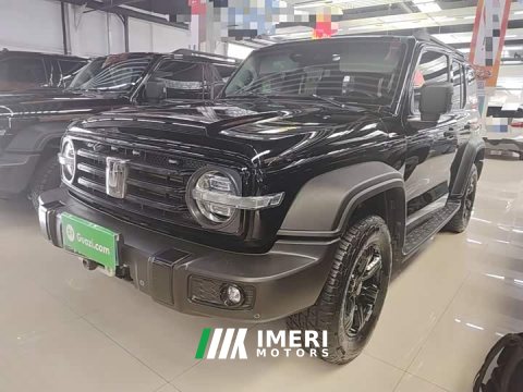 2022 Tank 300 2021 Off-Road Edition 2.0T Conqueror - ავტომობილი ჩინეთიდან