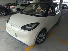 Wuling Binguo 333km Joy Edition - ფოტო 1