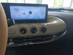 Wuling Binguo 333km Joy Edition - ფოტო 13
