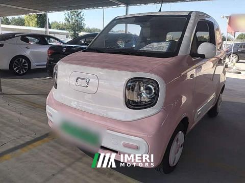 2024 Bestune Xiaoma 170km Vitality Edition