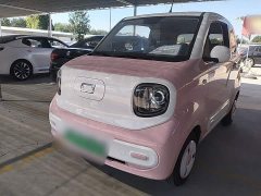 FAW Besturn Xiaoma 170km Vitality Edition - ფოტო 2