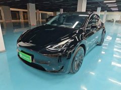 Tesla Model Y Rear-Wheel Drive - ფოტო 1