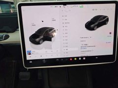Tesla Model Y Rear-Wheel Drive - ფოტო 12