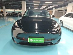 Tesla Model Y Rear-Wheel Drive - ფოტო 3