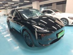 Tesla Model Y Rear-Wheel Drive - ფოტო 4