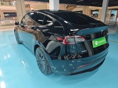 Tesla Model Y Rear-Wheel Drive - ფოტო 5