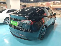 Tesla Model Y Rear-Wheel Drive - ფოტო 7