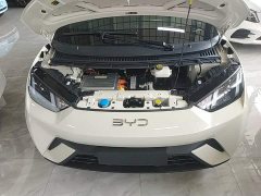 BYD Seagull 2025 305km Vitality Edition - ფოტო 20