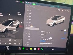 Tesla Model 3 Rear-Wheel Drive - ფოტო 12