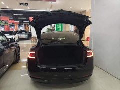 Tesla Model 3 2022 Rear-Wheel Drive - ფოტო 19