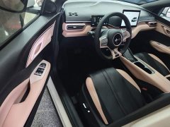 BYD Seagull 305km Freedom Edition - ფოტო 16