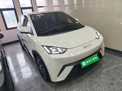BYD Seagull 305km Freedom Edition - ფოტო 4