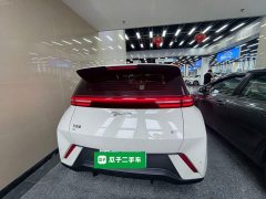 BYD Seagull 305km Freedom Edition - ფოტო 6