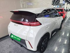 BYD Seagull 305km Freedom Edition - ფოტო 7