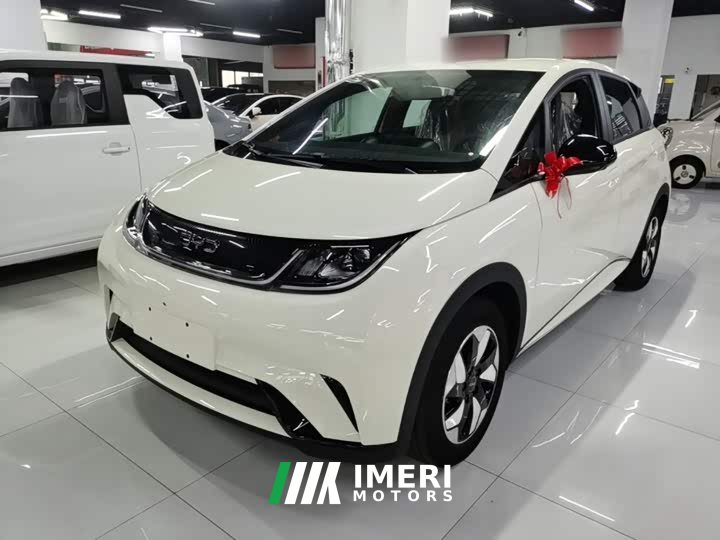 BYD Dolphin 420km Freedom Edition