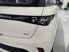 BYD Dolphin 2025 420km Freedom Edition - ფოტო 8
