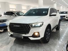 Haval H6 National Trend Edition 1.5T Automatic Champion Version - ფოტო 1