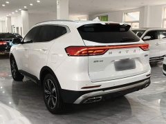 Haval H6 National Trend Edition 1.5T Automatic Champion Version - ფოტო 5