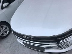BYD Destroyer 05 Glory Edition DM-i 120KM Luxury - ფოტო 3