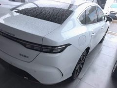BYD Destroyer 05 Glory Edition DM-i 120KM Luxury - ფოტო 7