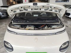 Baojun Yunduo 2023 460 Max - ფოტო 20