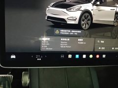 Tesla Model Y Rear-Wheel Drive - ფოტო 12