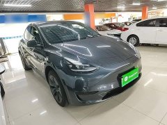 Tesla Model Y Rear-Wheel Drive - ფოტო 4
