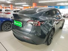 Tesla Model Y Rear-Wheel Drive - ფოტო 7