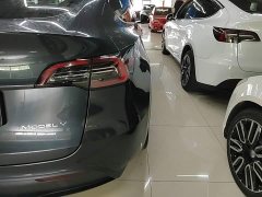 Tesla Model Y Rear-Wheel Drive - ფოტო 8