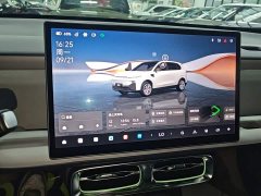 Leapmotor B10 510 Pleasure Edition - ფოტო 13