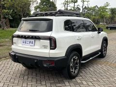 Havaldog 2022 2.0T DCT four-wheel drive Chinese pastoral dog hunting version - ფოტო 11