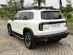 Havaldog 2022 2.0T DCT four-wheel drive Chinese pastoral dog hunting version - ფოტო 13